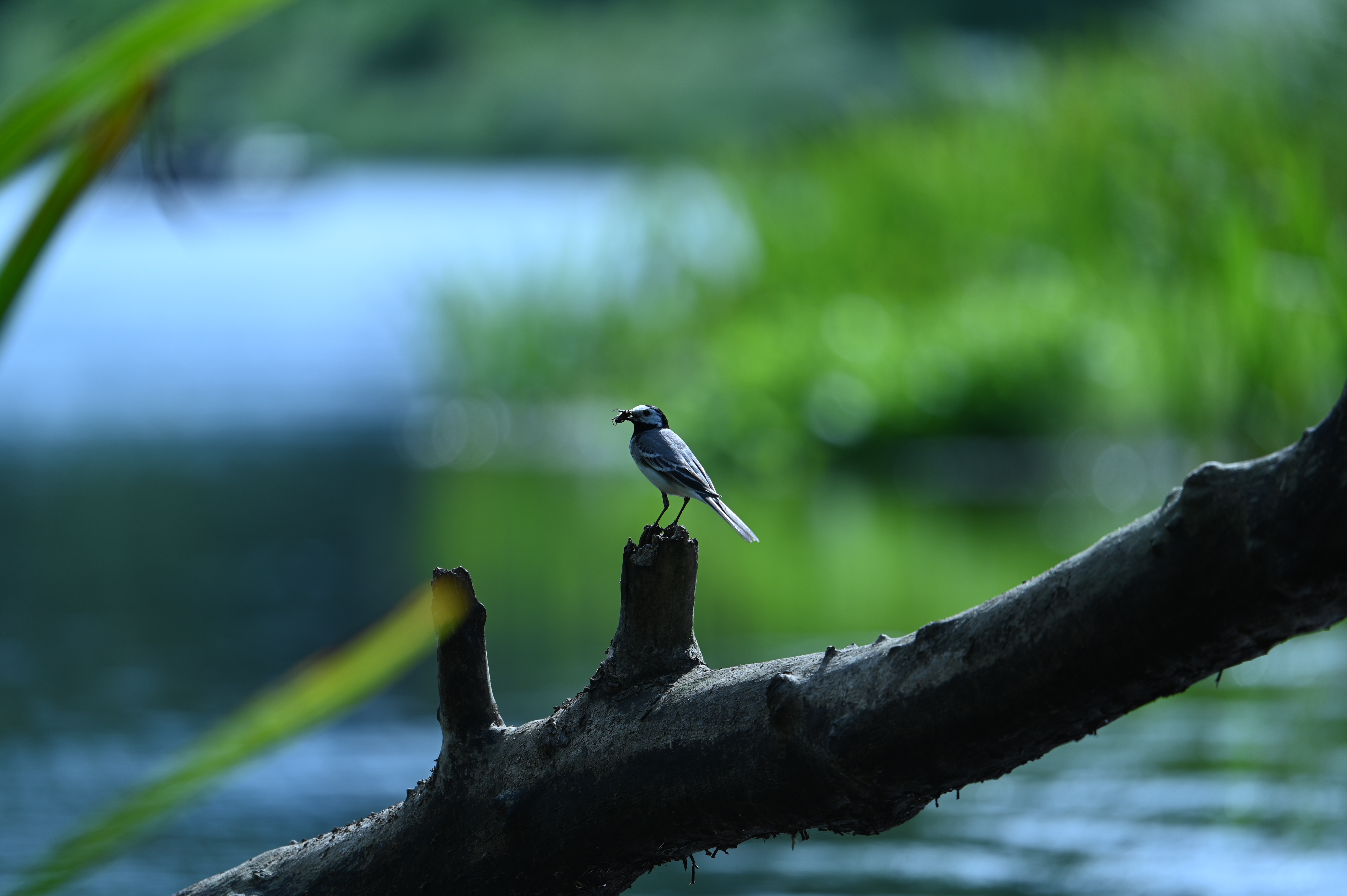 2025/07/09-14 - trip/DSC_0345.JPG